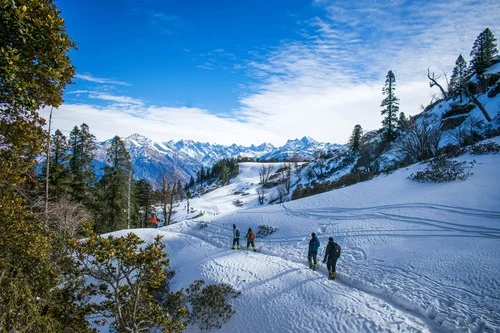 SHIMLA-MANALI TOUR